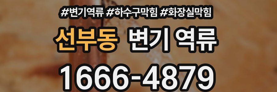 선부동 변기 역류