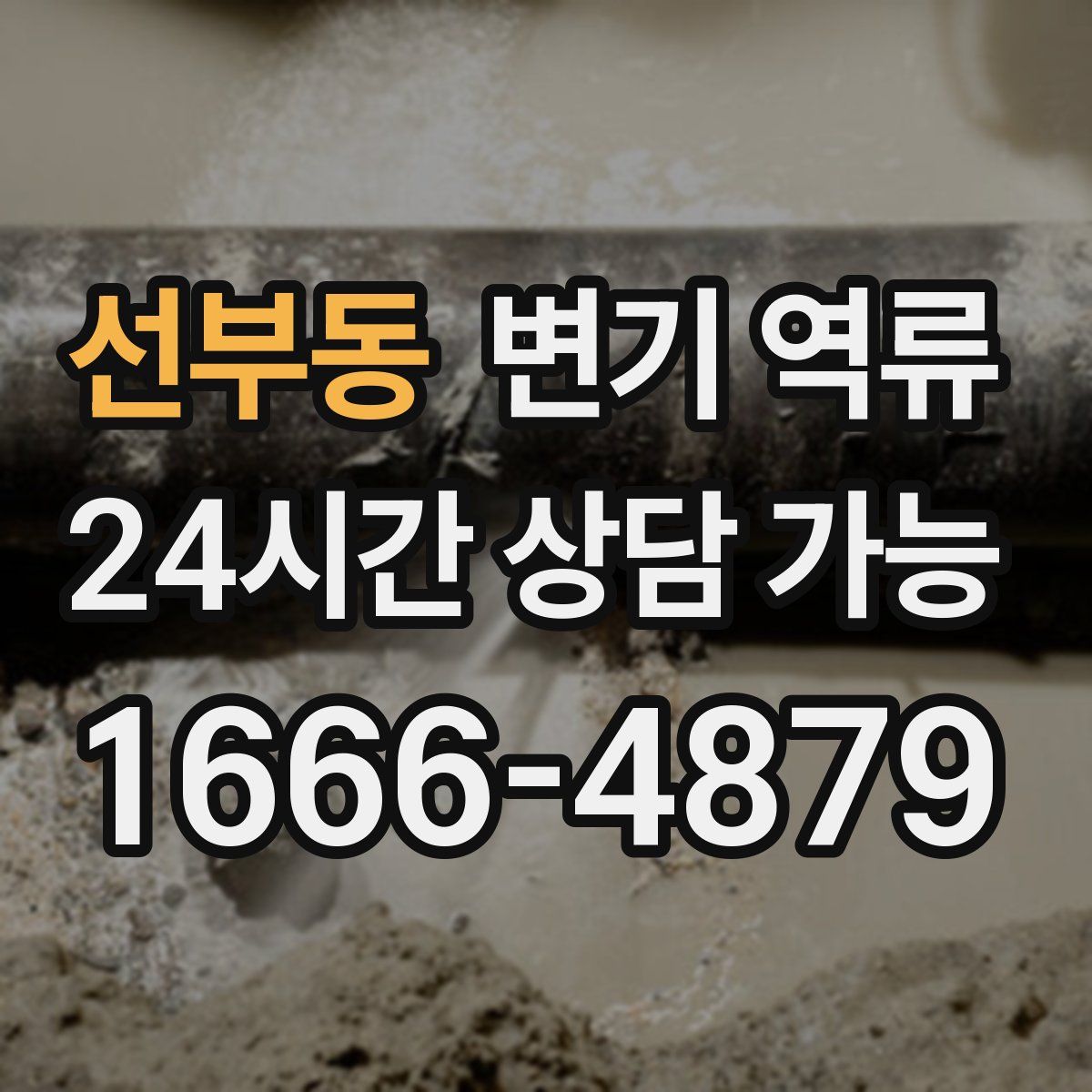 선부동 변기 역류