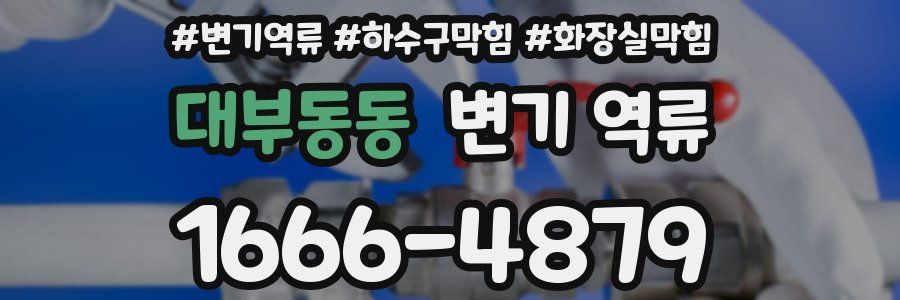 대부동동 변기 역류