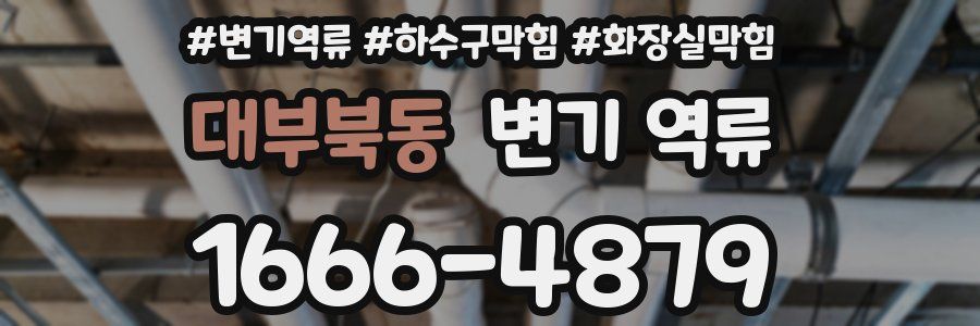 대부북동 변기 역류