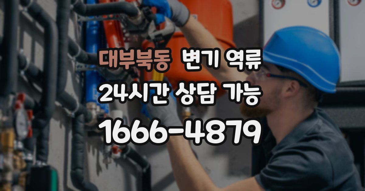 대부북동 변기 역류