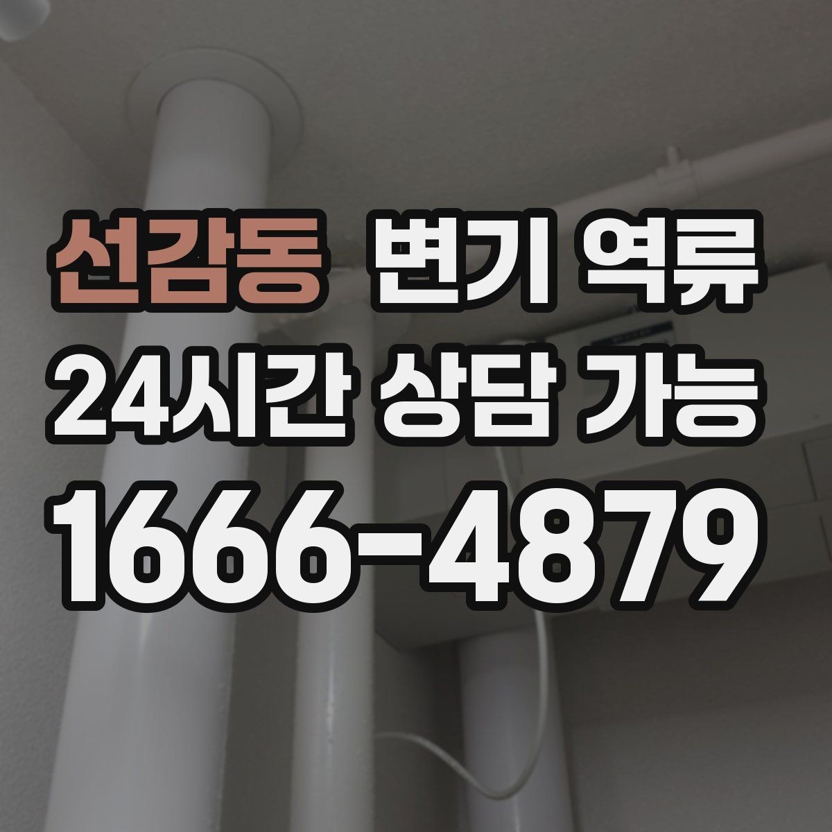 선감동 변기 역류 압력으로 밀어 넣으면 왜 더 막힐까