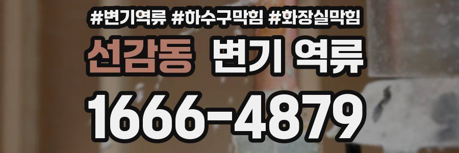 선감동 변기 역류