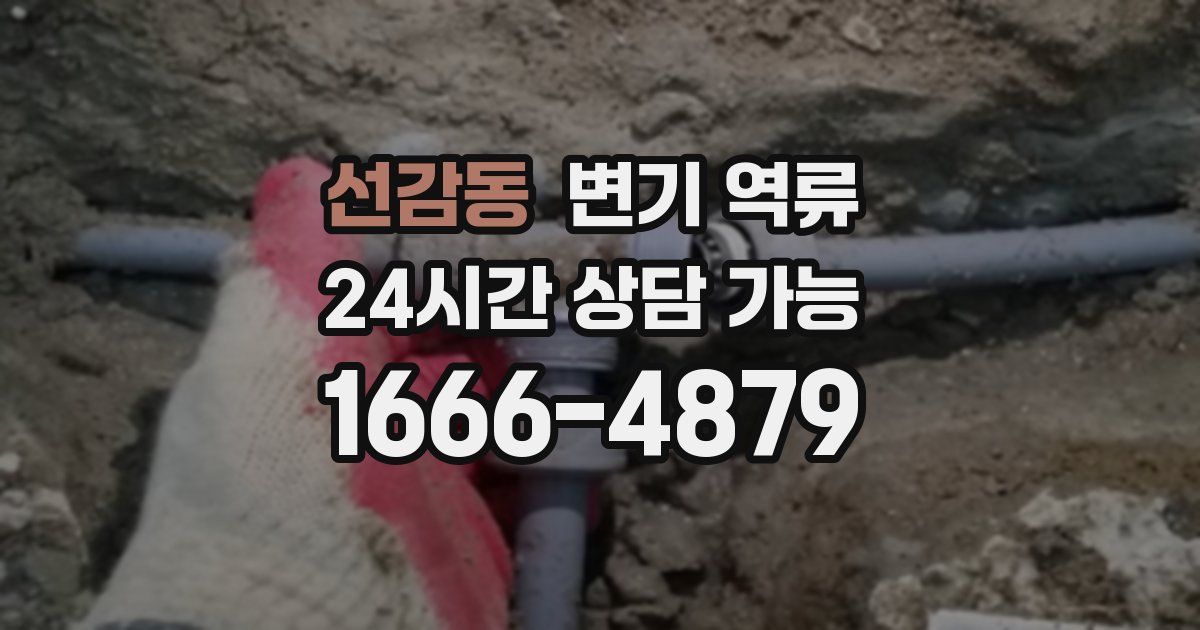 선감동 변기 역류