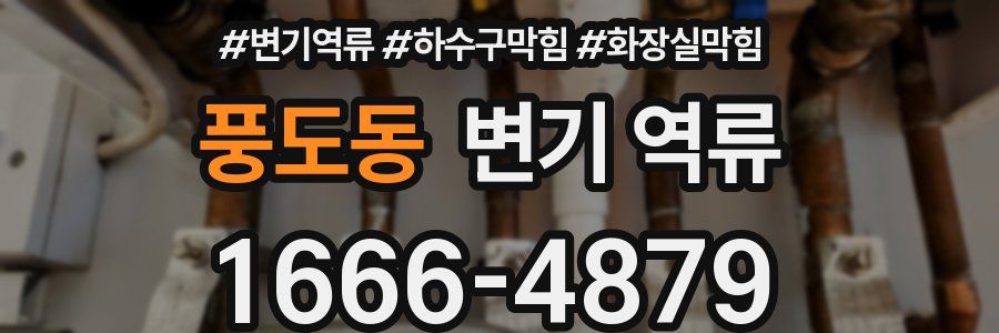 풍도동 변기 역류