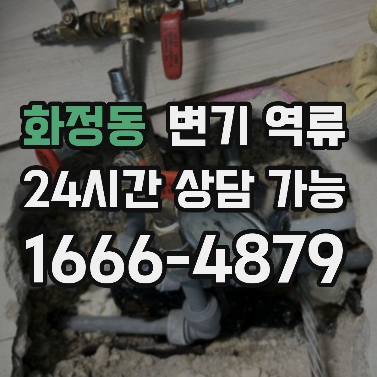 화정동 변기 역류 숙박업소·펜션에서 반복되는 원인 패턴