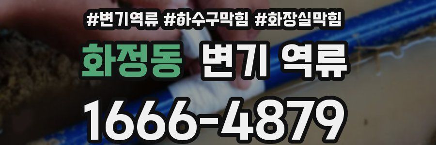 화정동 변기 역류