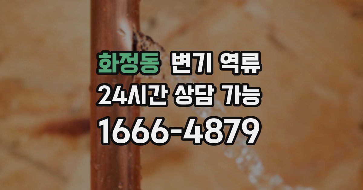 화정동 변기 역류