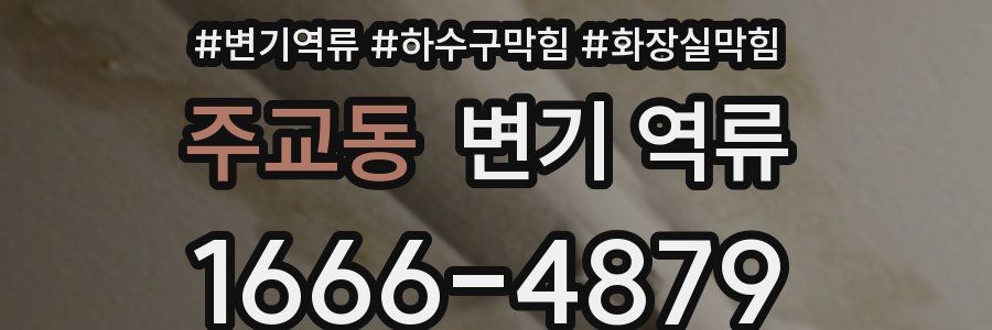 주교동 변기 역류