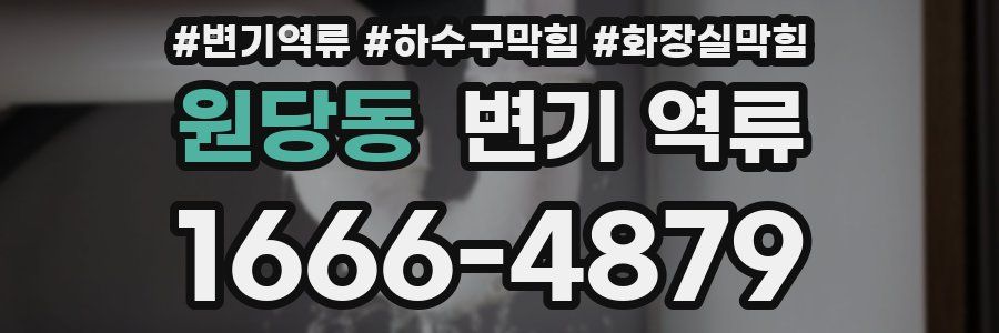 원당동 변기 역류