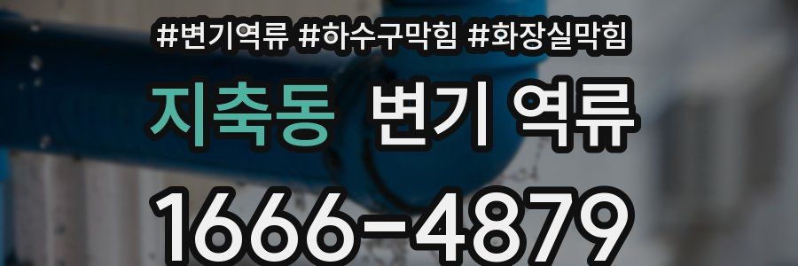 지축동 변기 역류