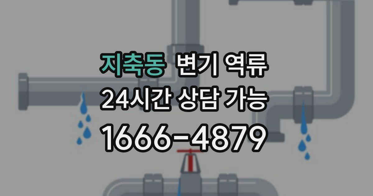 지축동 변기 역류