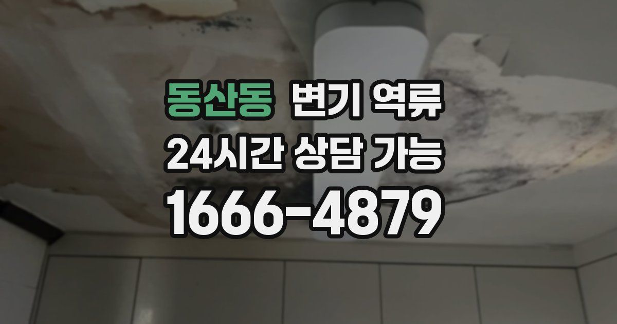 동산동 변기 역류