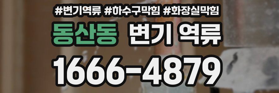 동산동 변기 역류