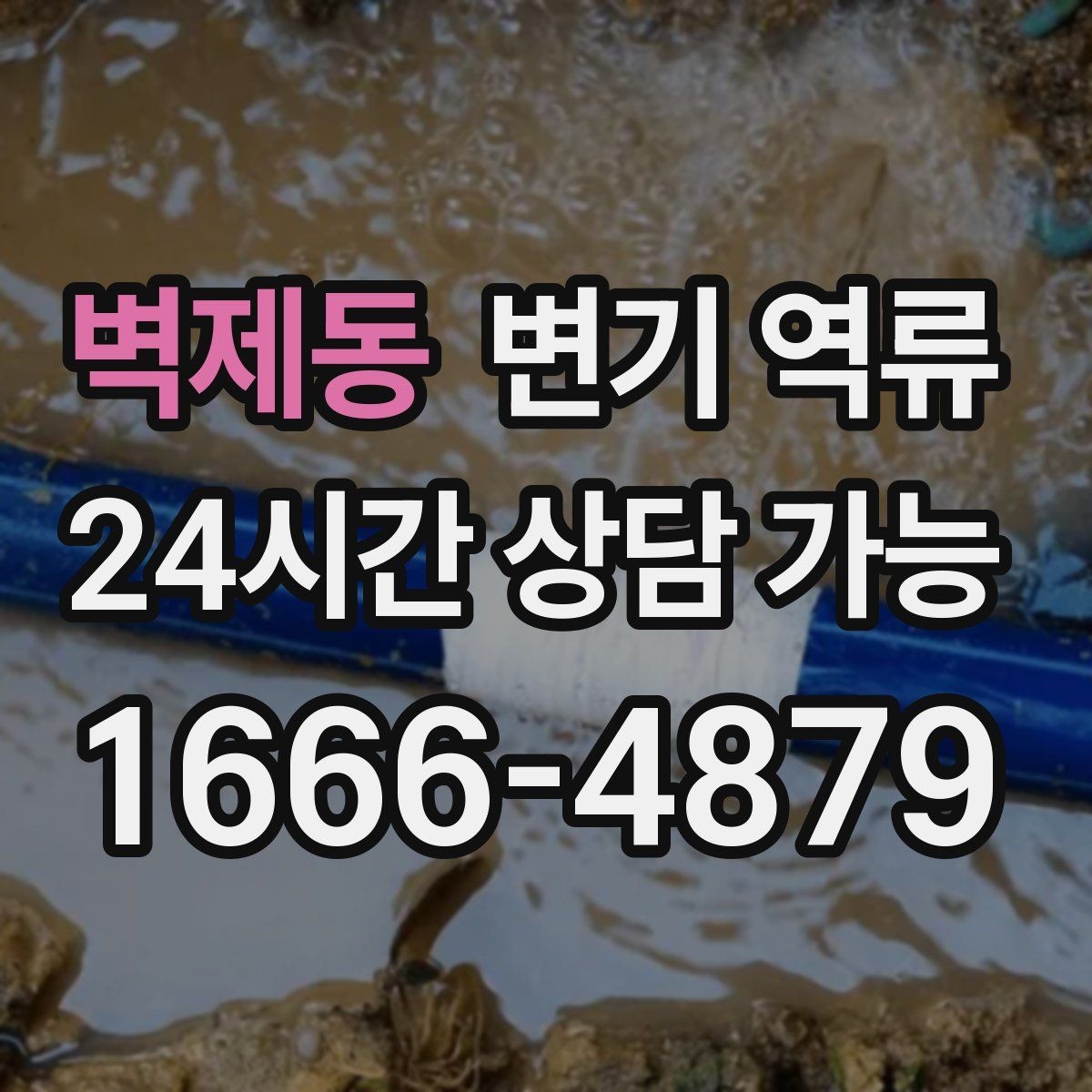 벽제동 변기 역류 셀프로 해결이 어려운 기준을 한 번에 정리