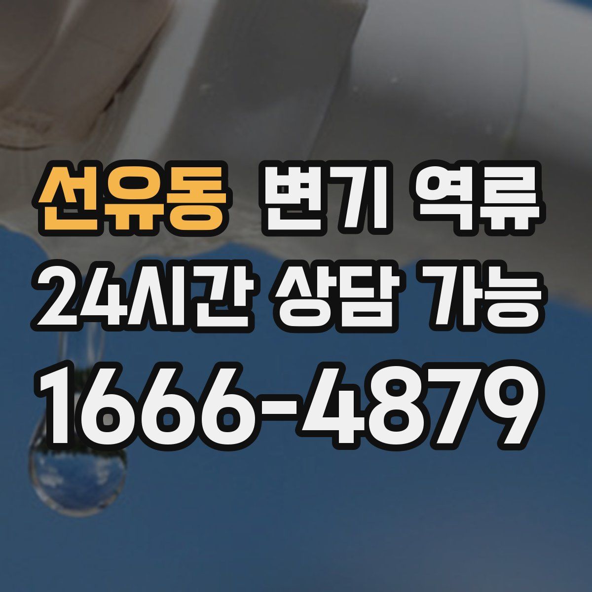 선유동 변기 역류