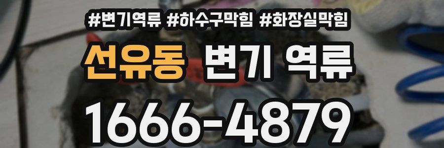 선유동 변기 역류