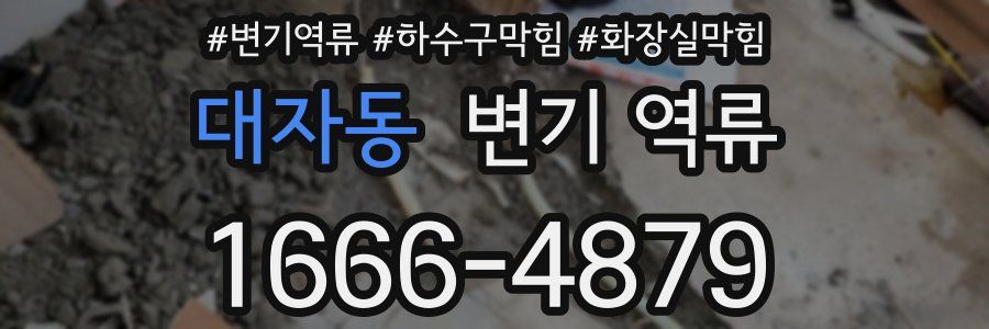 대자동 변기 역류