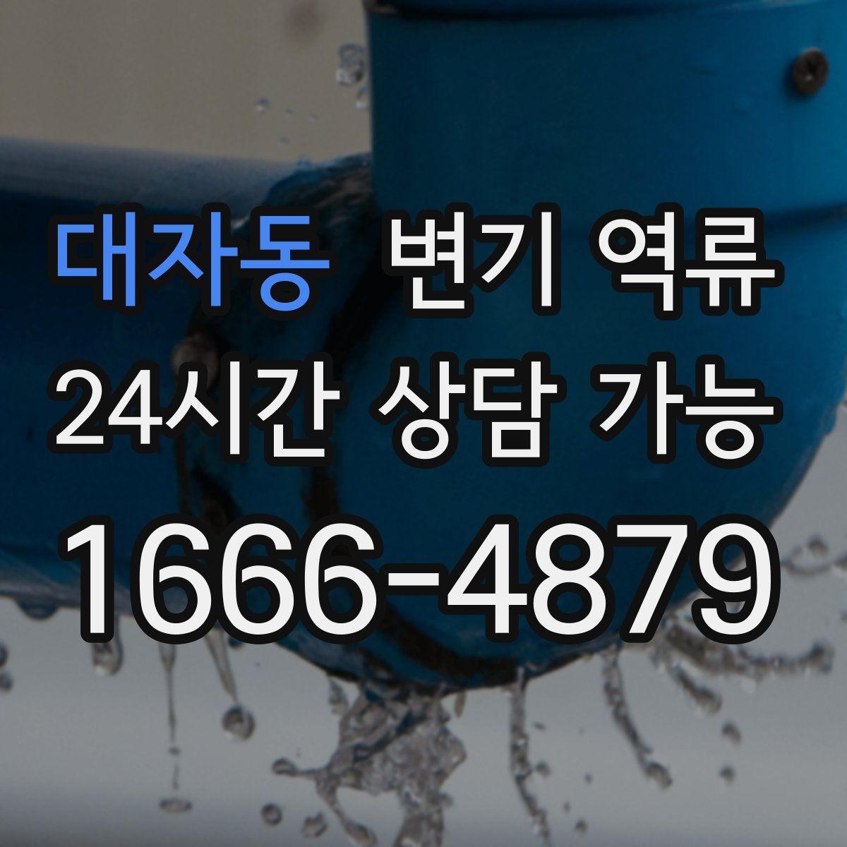 대자동 변기 역류