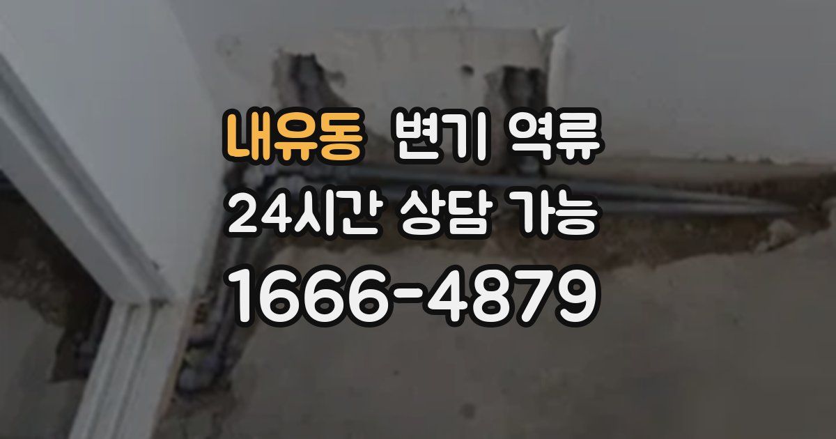 내유동 변기 역류