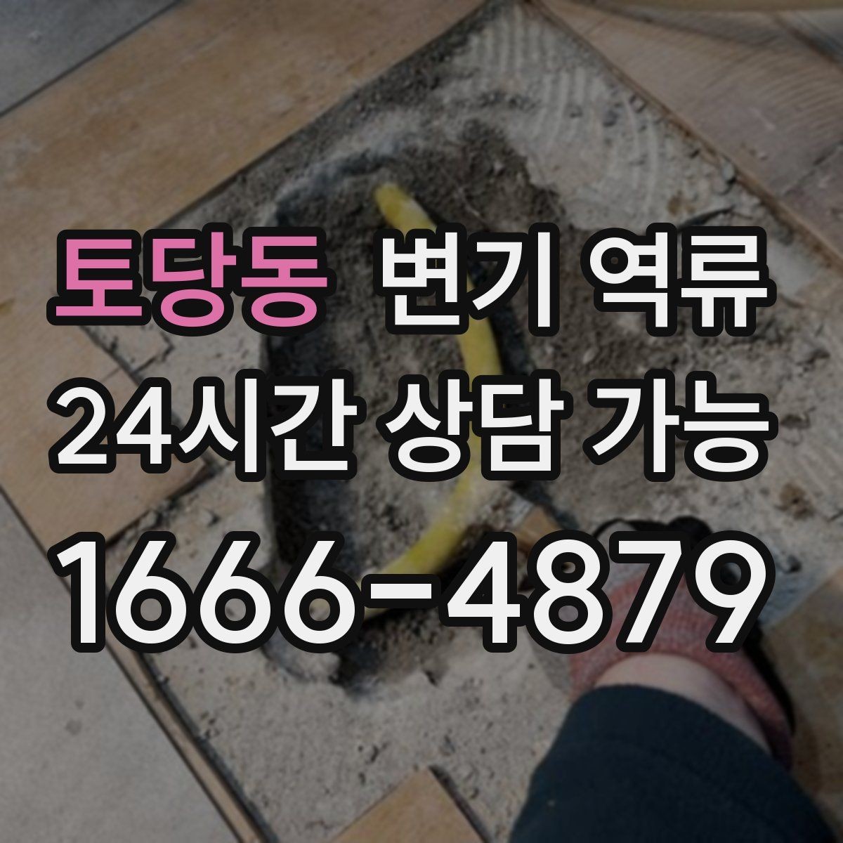 토당동 변기 역류 바닥 배수구에서 냄새가 올라오면 연결 확인