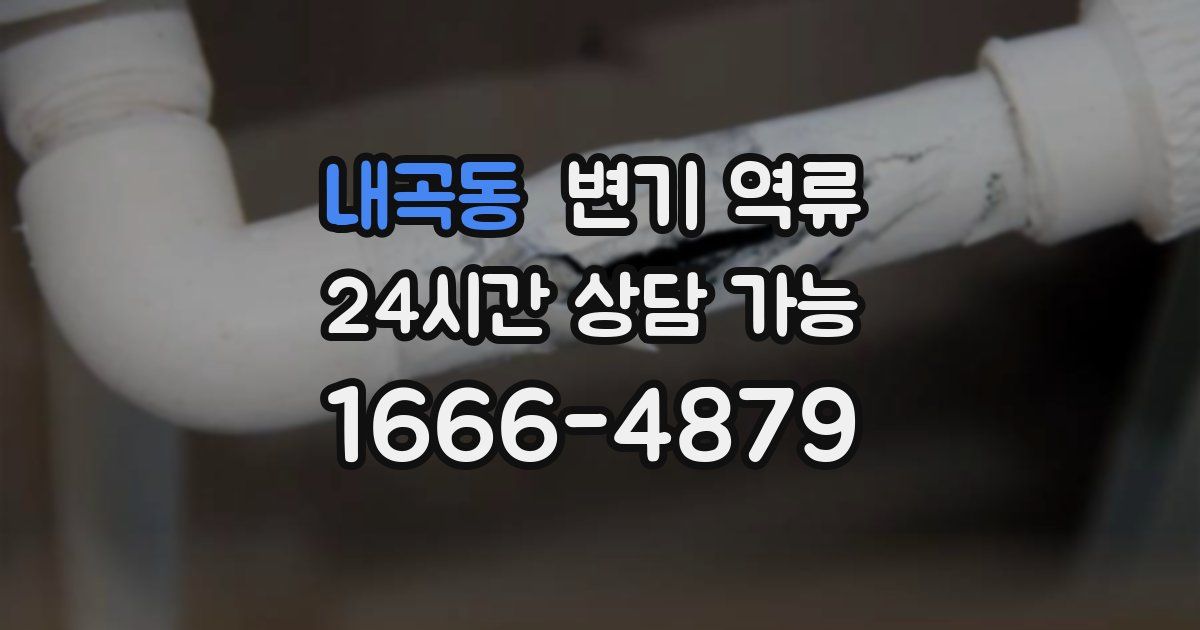 내곡동 변기 역류