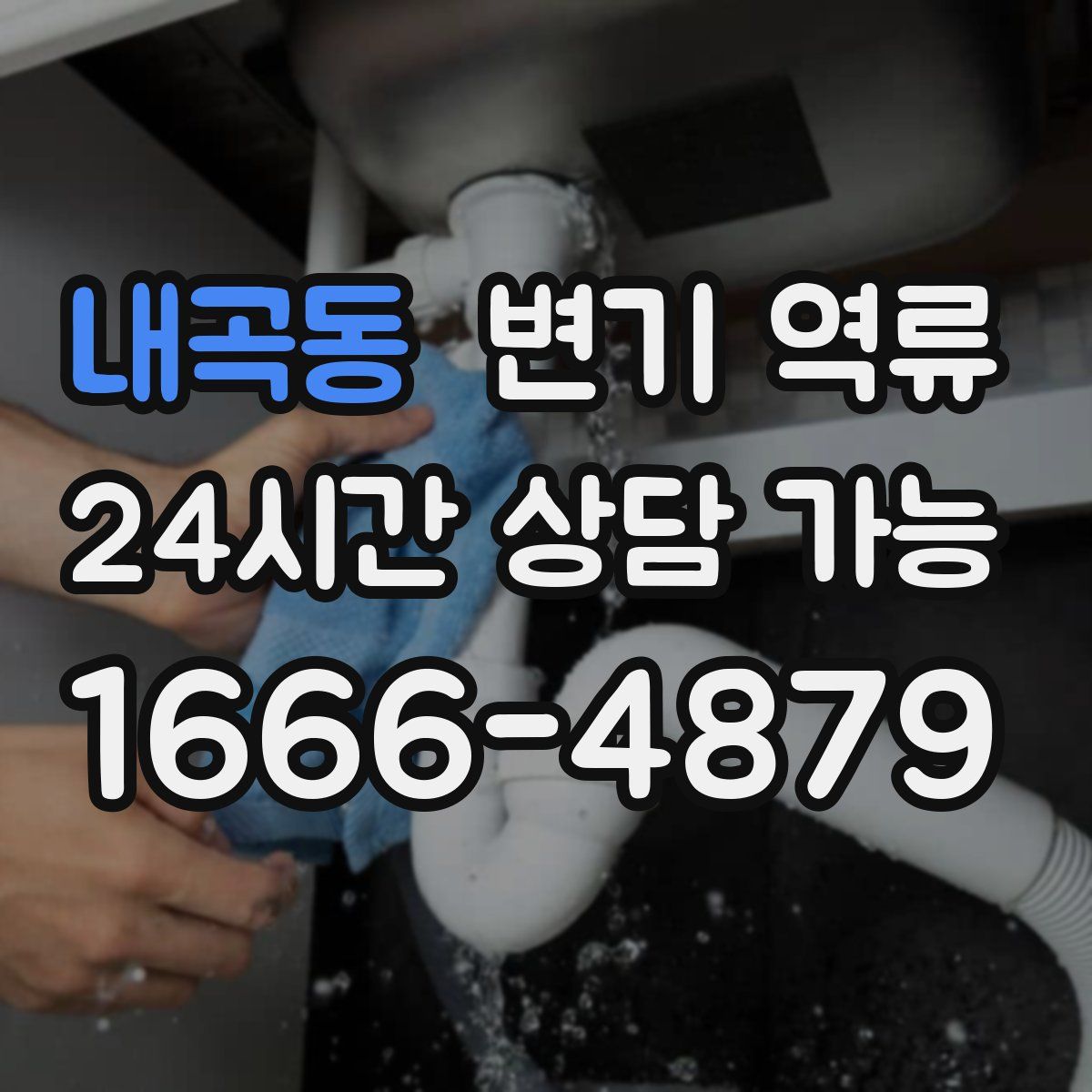 내곡동 변기 역류