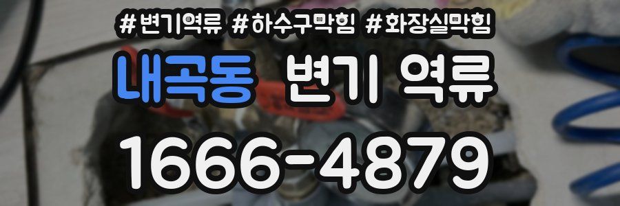 내곡동 변기 역류