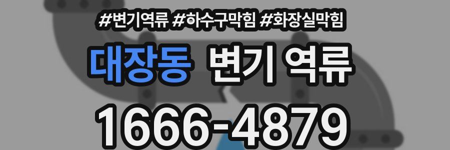 대장동 변기 역류