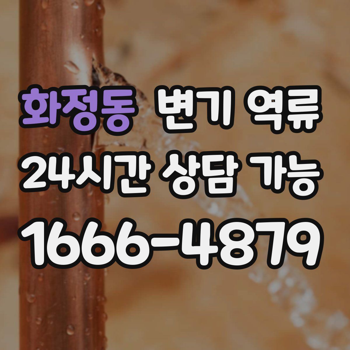 화정동 변기 역류