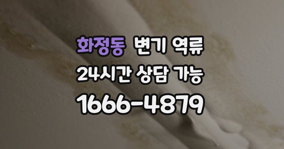 화정동 변기 역류