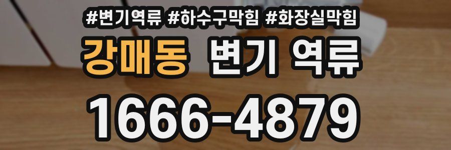 강매동 변기 역류