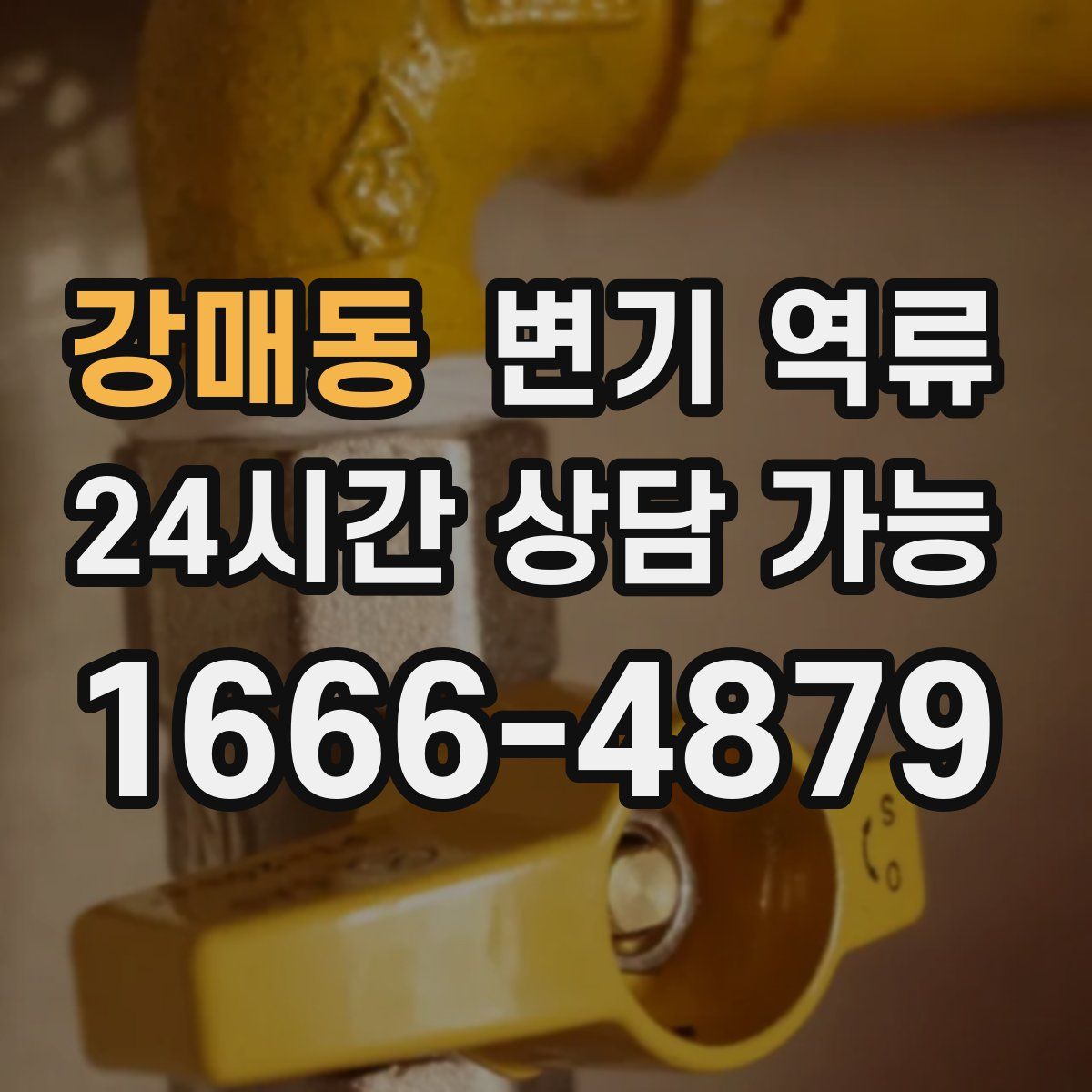 강매동 변기 역류