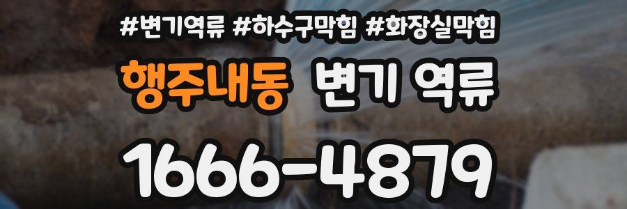 행주내동 변기 역류