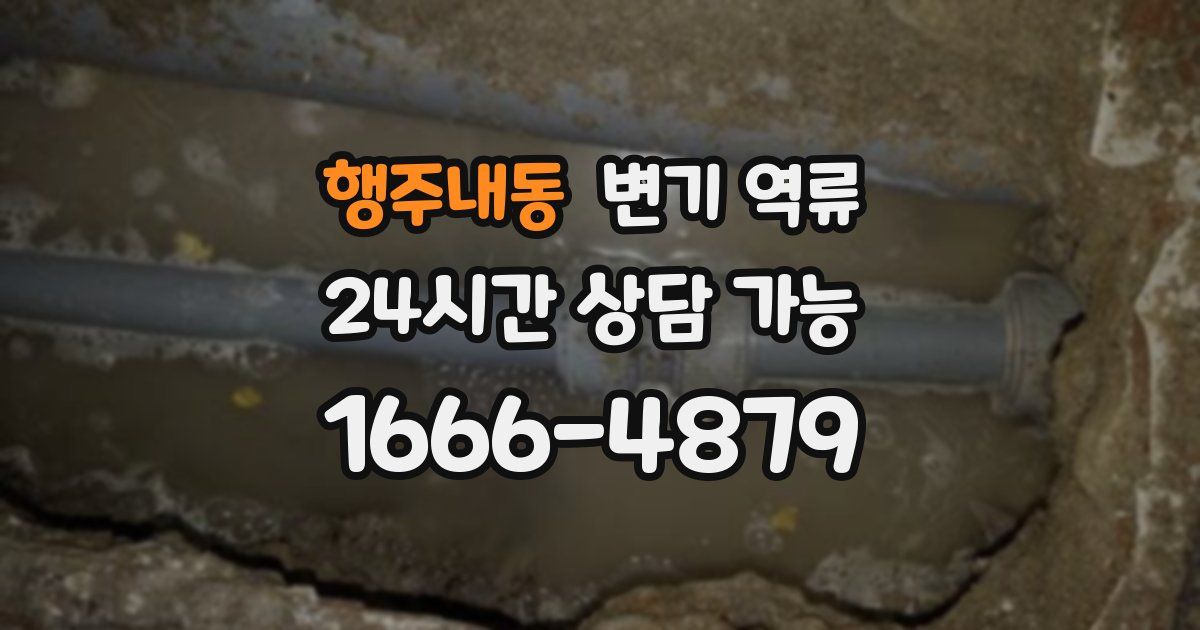 행주내동 변기 역류
