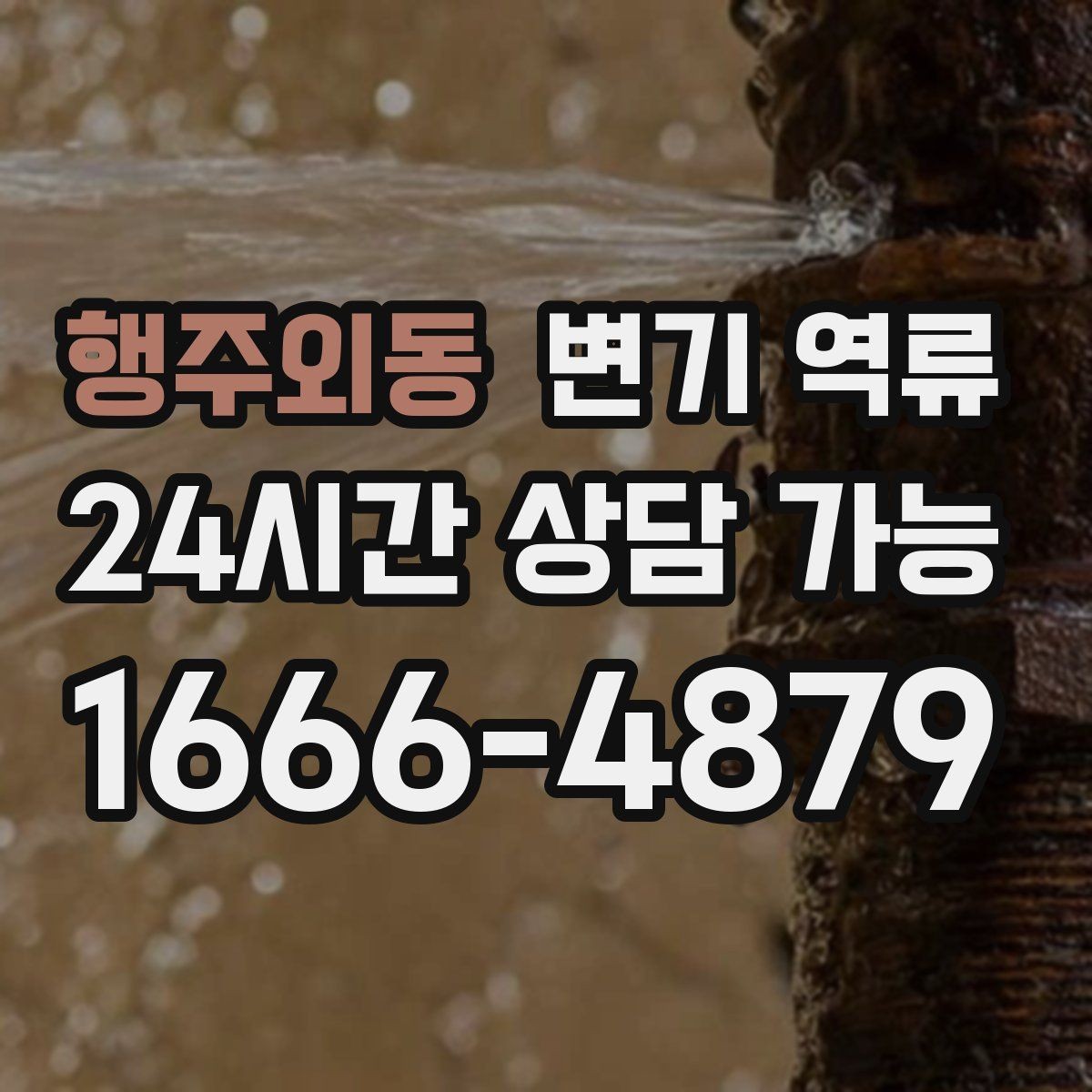 행주외동 변기 역류 빠른 출동을 위한 증상 설명 요령