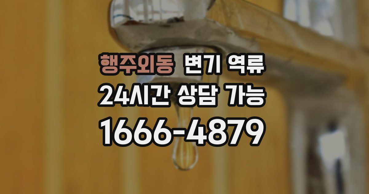 행주외동 변기 역류