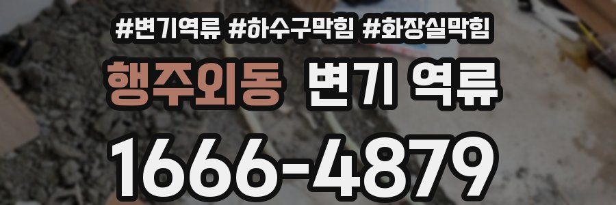 행주외동 변기 역류