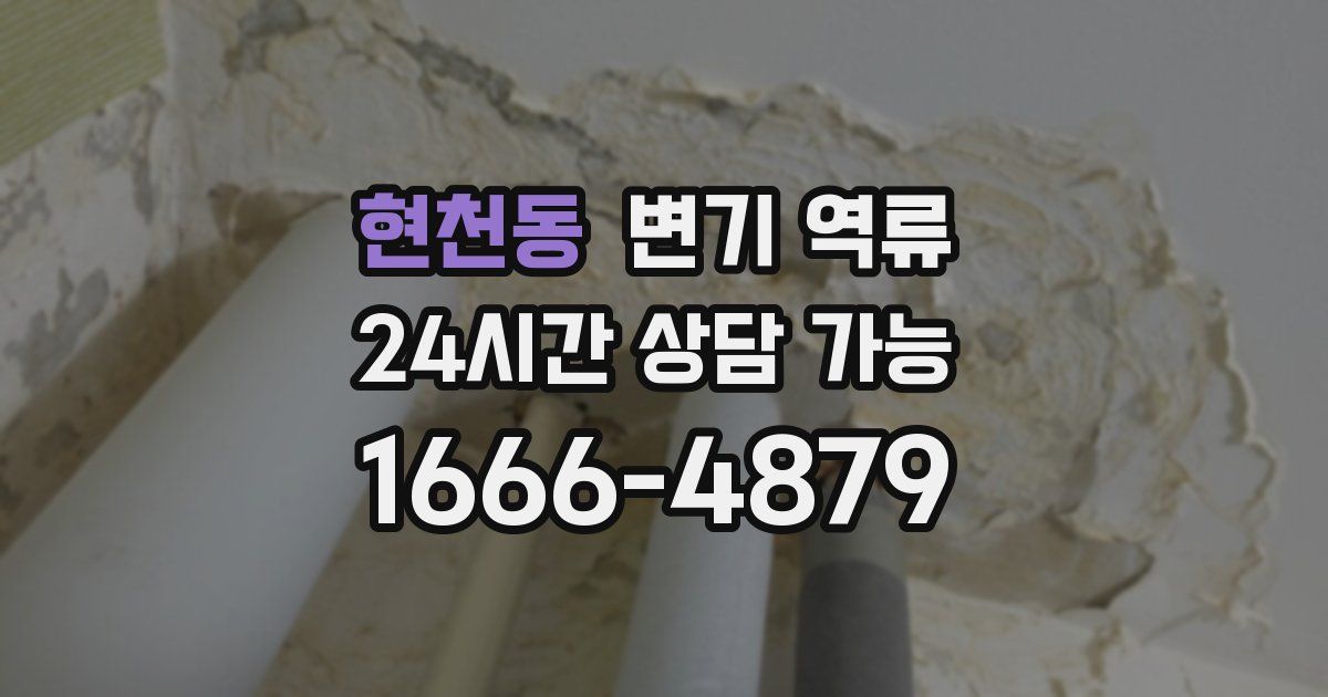 현천동 변기 역류