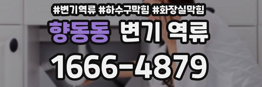 향동동 변기 역류