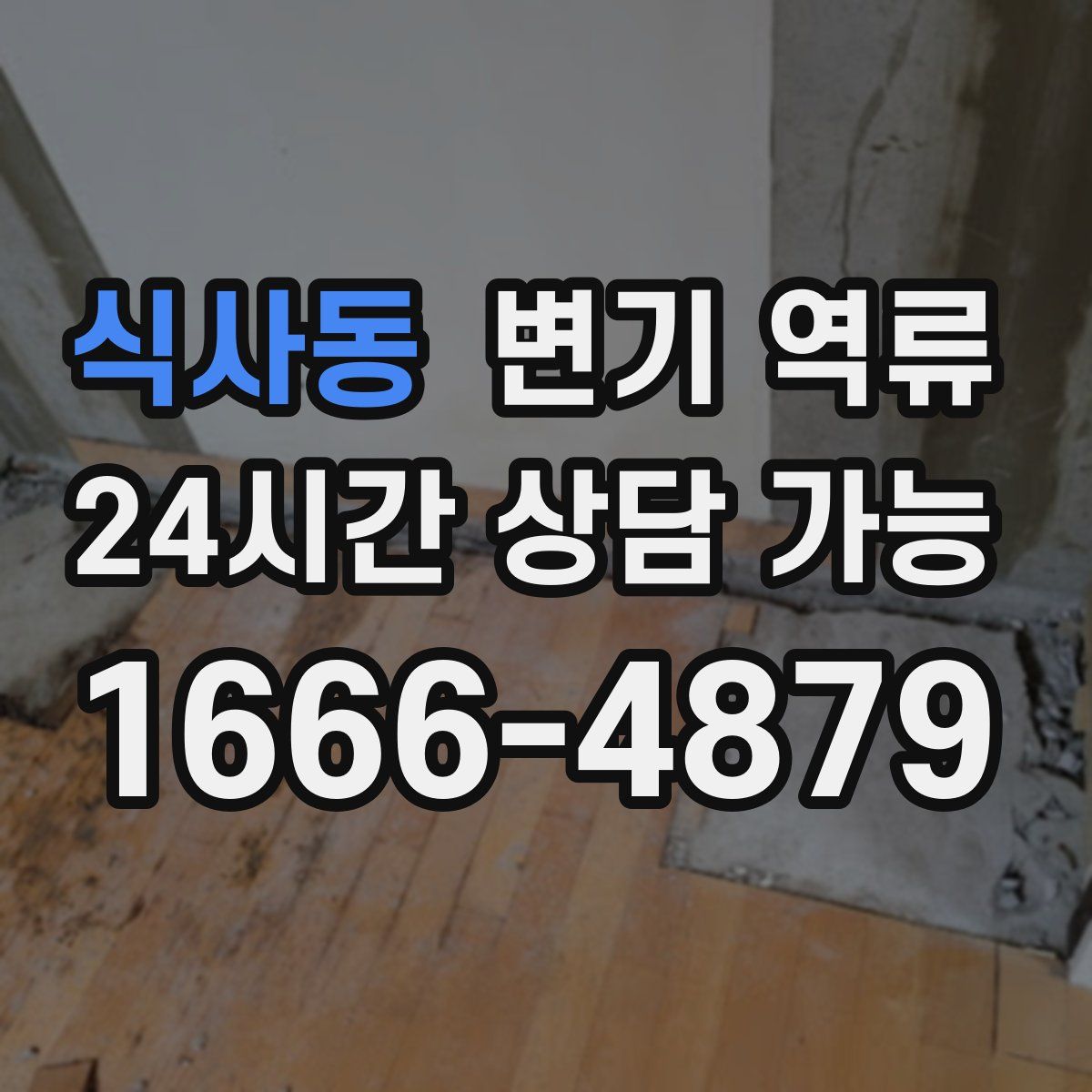 식사동 변기 역류