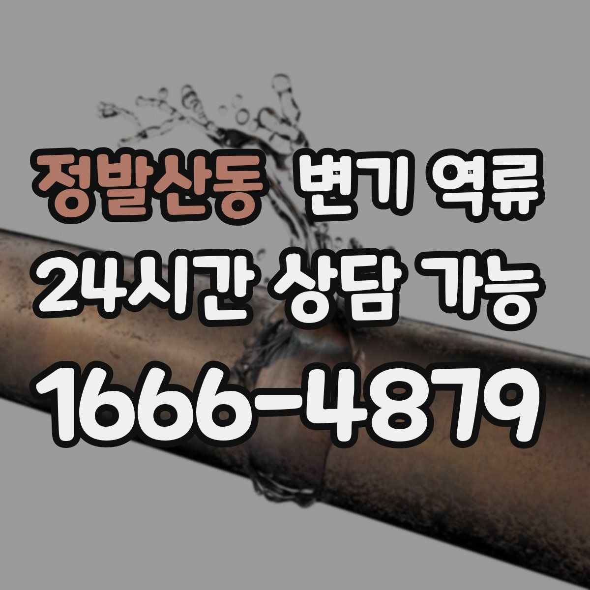 정발산동 변기 역류