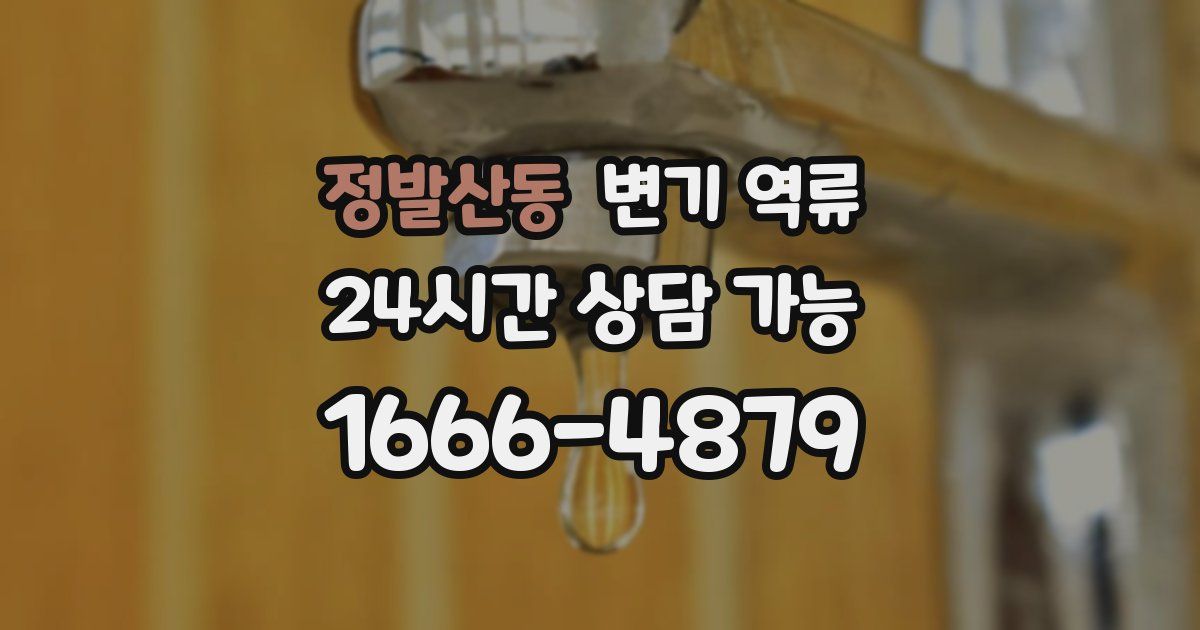 정발산동 변기 역류