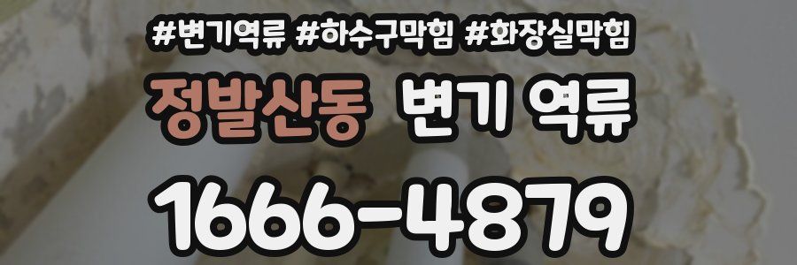 정발산동 변기 역류