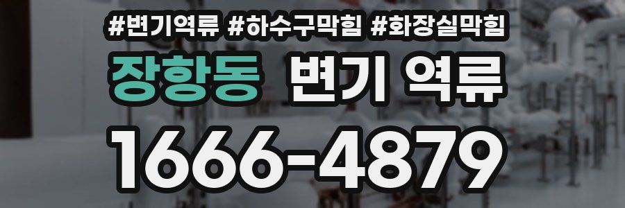 장항동 변기 역류