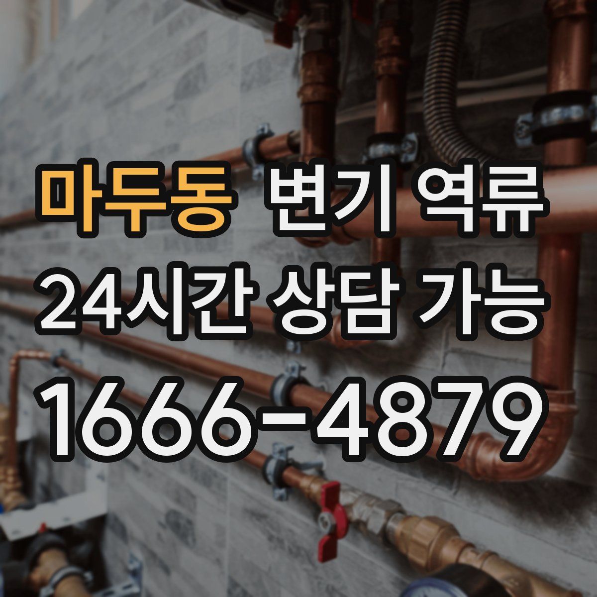 마두동 변기 역류