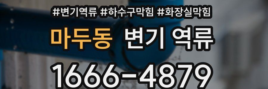 마두동 변기 역류