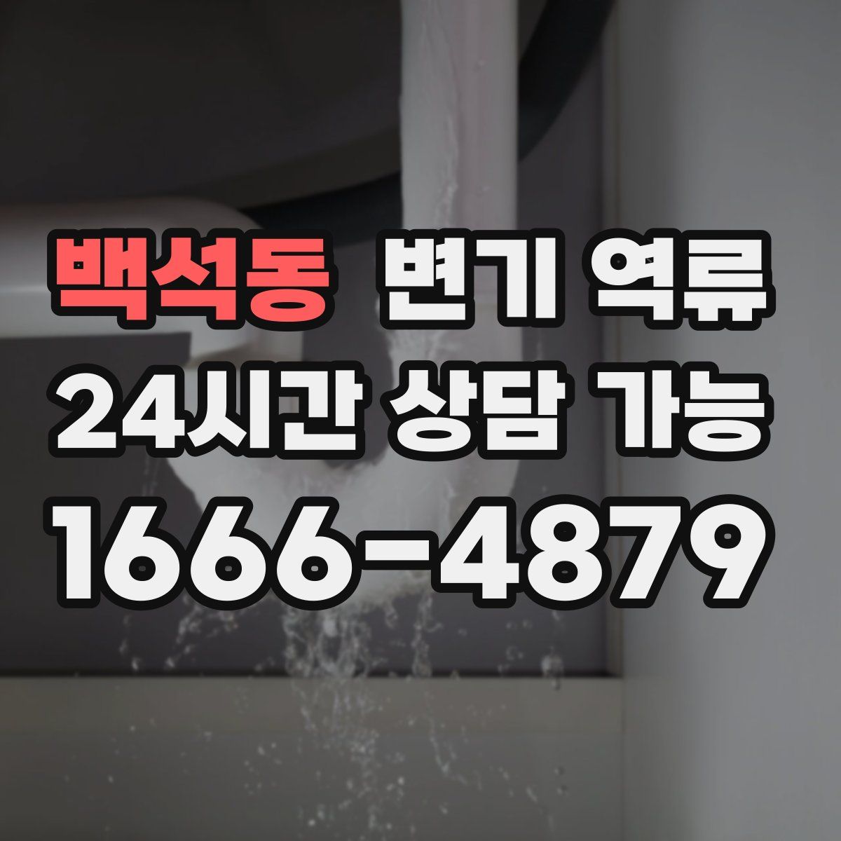 백석동 변기 역류