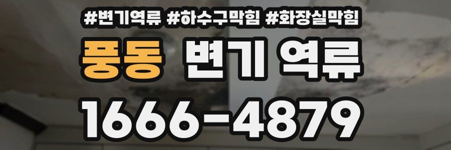 풍동 변기 역류