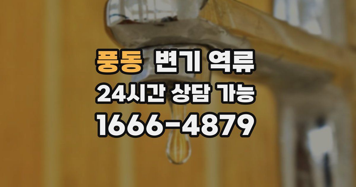 풍동 변기 역류